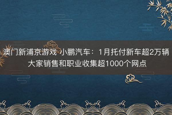 澳门新浦京游戏 小鹏汽车:1月托付新车超2万辆 大家销售和职业收集超1000个网点