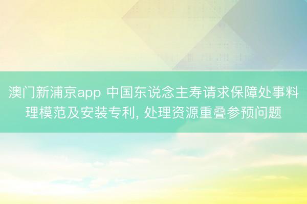 澳门新浦京app 中国东说念主寿请求保障处事料理模范及安装专利， 处理资源重叠参预问题